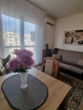 Apartment Dorcol Belgrade